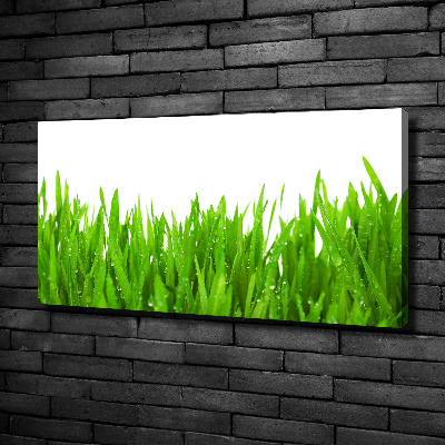 Foto op canvas Gras