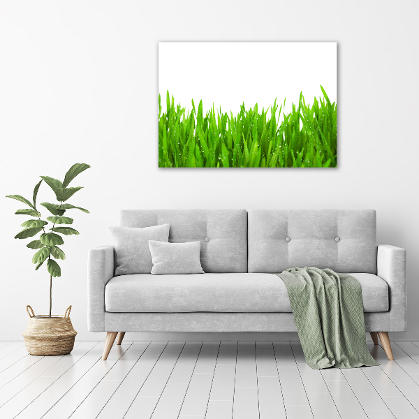 Foto op canvas Gras