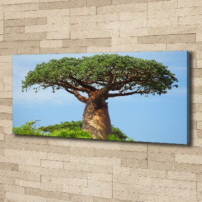 Canvas foto Baobab