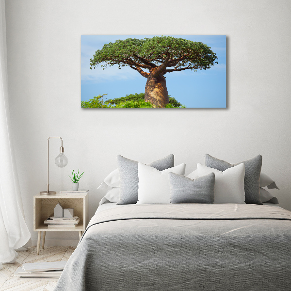 Canvas foto Baobab