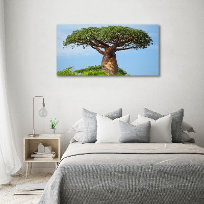 Canvas foto Baobab