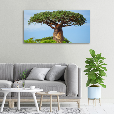 Canvas foto Baobab