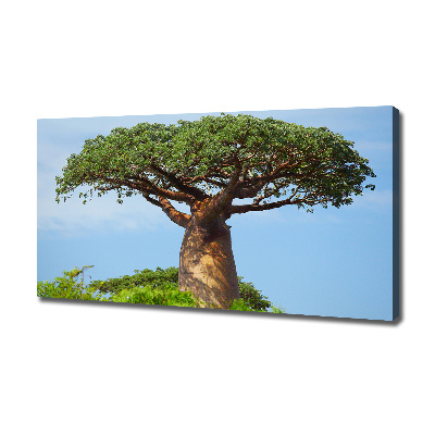 Canvas foto Baobab