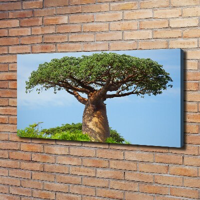 Canvas foto Baobab