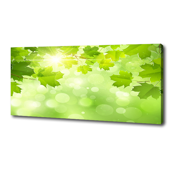 Canvas schilderij Paardenkastanjebladeren