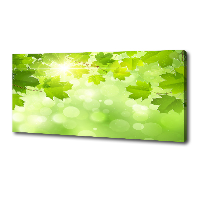 Canvas schilderij Paardenkastanjebladeren