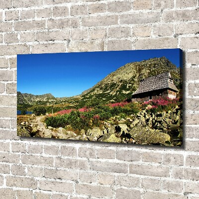 Foto canvas Herdershut in het dal