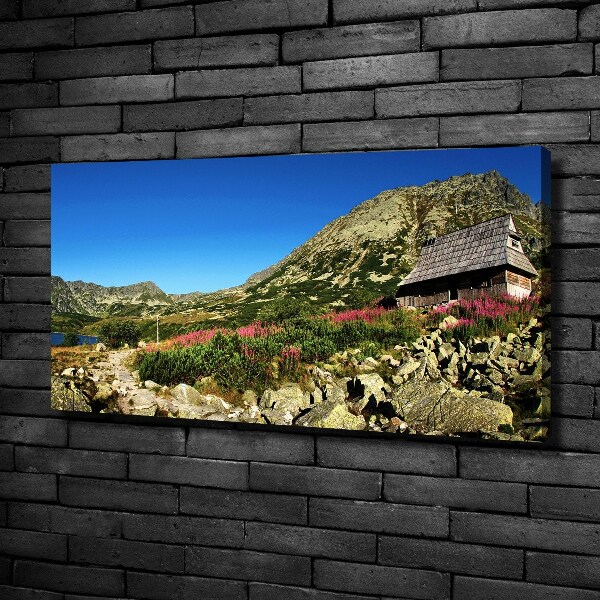 Foto canvas Herdershut in het dal