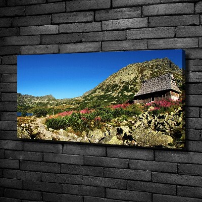 Foto canvas Herdershut in het dal