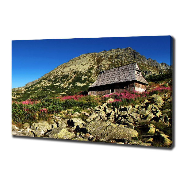 Foto canvas Herdershut in het dal