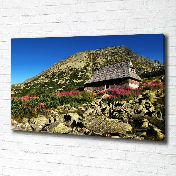 Foto canvas Herdershut in het dal