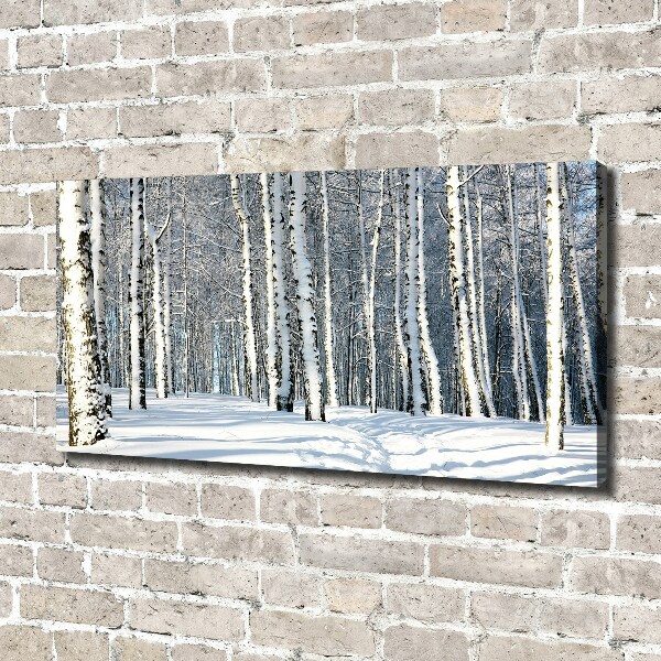 Schilderij op canvas Bos in de winter