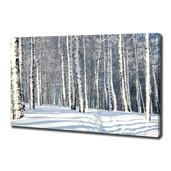 Schilderij op canvas Bos in de winter