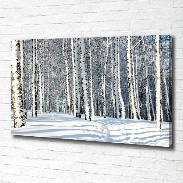 Schilderij op canvas Bos in de winter