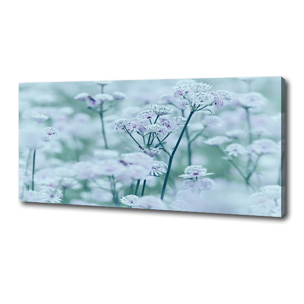 Foto canvas Grote mantelkruid