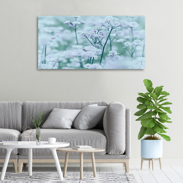 Foto canvas Grote mantelkruid