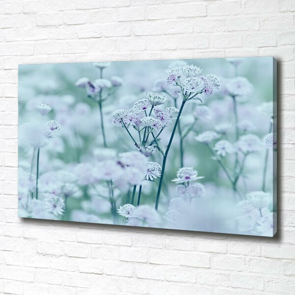 Foto canvas Grote mantelkruid