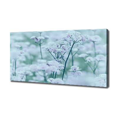 Foto canvas Grote mantelkruid