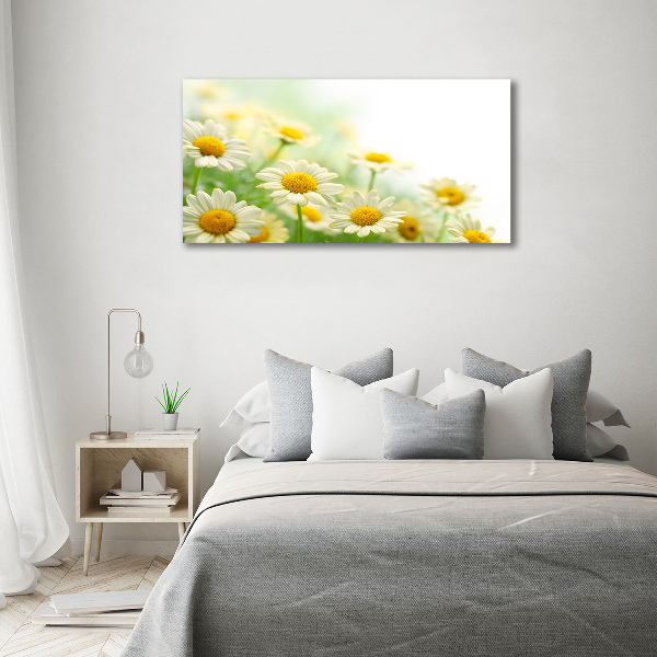 Foto canvas Madeliefjes