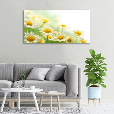 Foto canvas Madeliefjes