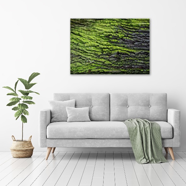 Foto op canvas Boomschors