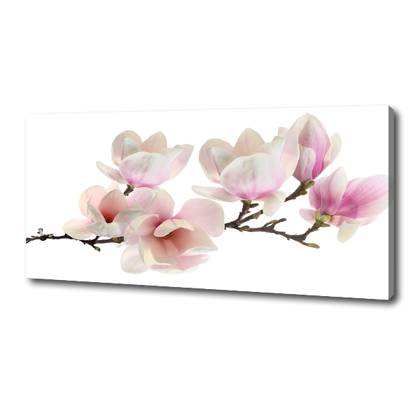 Canvas foto Magnolia