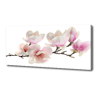 Canvas foto Magnolia