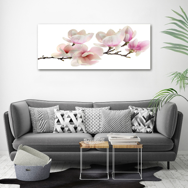 Canvas foto Magnolia