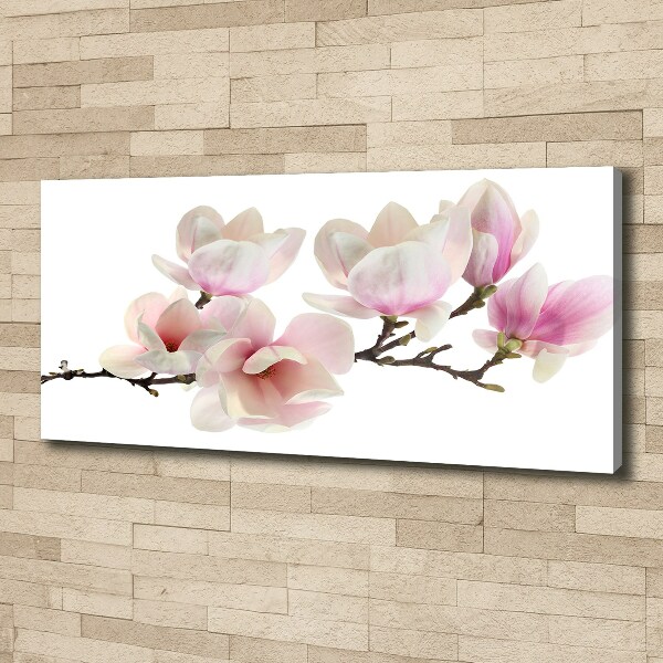 Canvas foto Magnolia