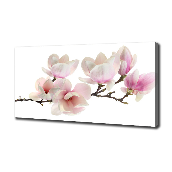 Canvas foto Magnolia
