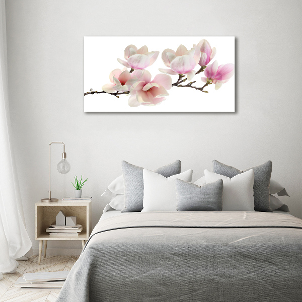 Canvas foto Magnolia