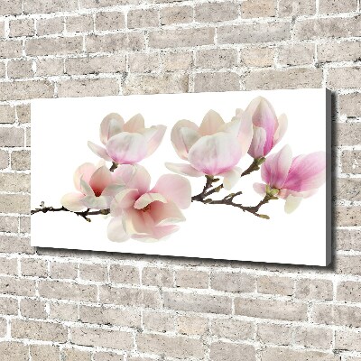 Canvas foto Magnolia