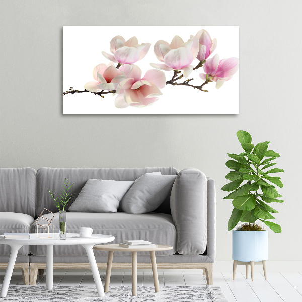 Canvas foto Magnolia