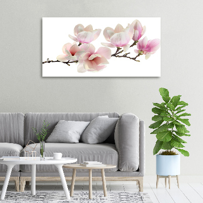 Canvas foto Magnolia