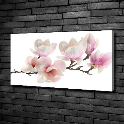 Canvas foto Magnolia
