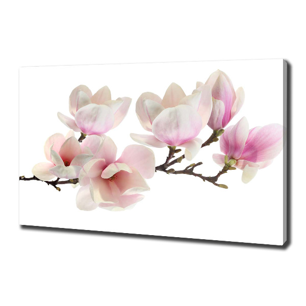 Canvas foto Magnolia
