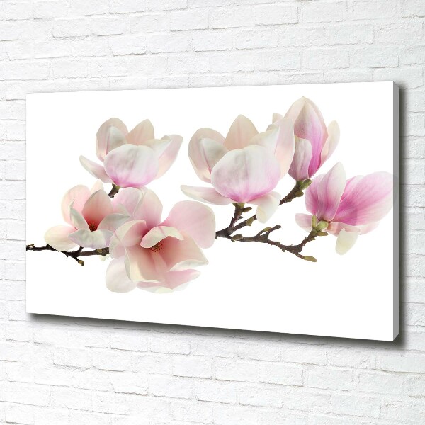 Canvas foto Magnolia