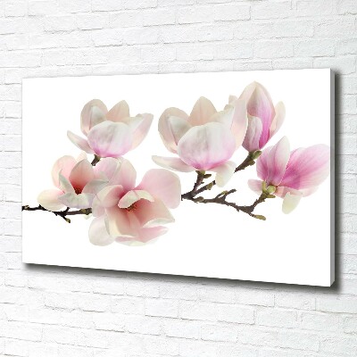 Canvas foto Magnolia