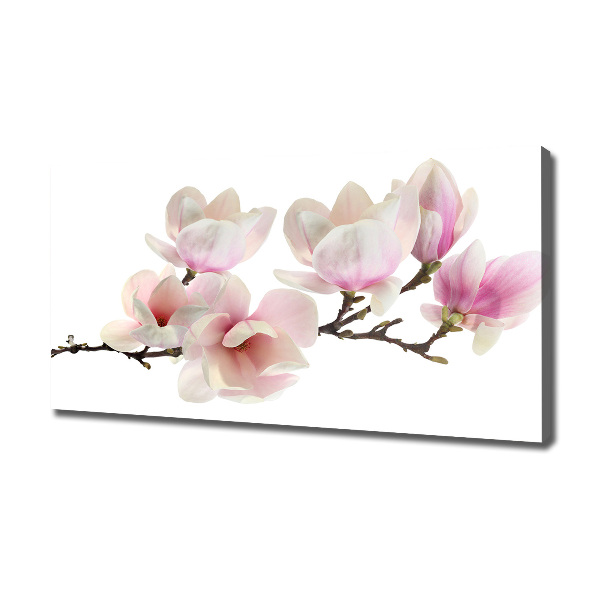 Canvas foto Magnolia