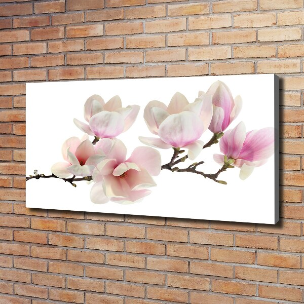 Canvas foto Magnolia
