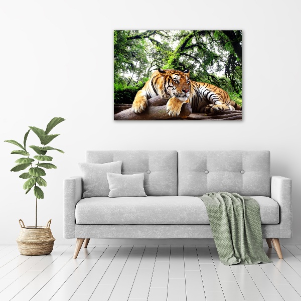 Foto op canvas Tijger op een rots