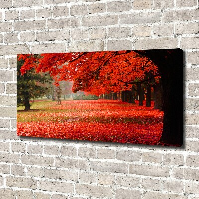 Canvas schilderij Bomen in de herfst