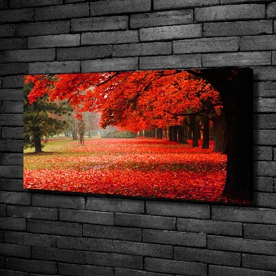Canvas schilderij Bomen in de herfst