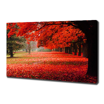Canvas schilderij Bomen in de herfst