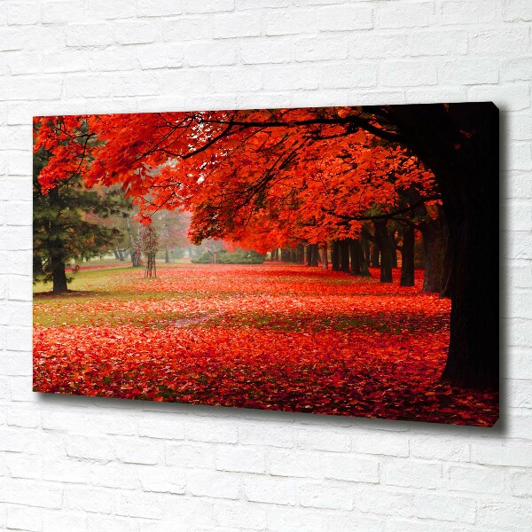 Canvas schilderij Bomen in de herfst