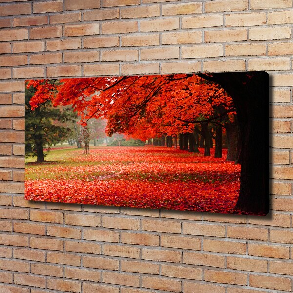 Canvas schilderij Bomen in de herfst