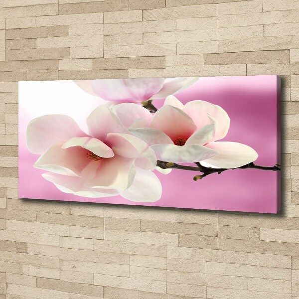 Schilderij op canvas Magnolia