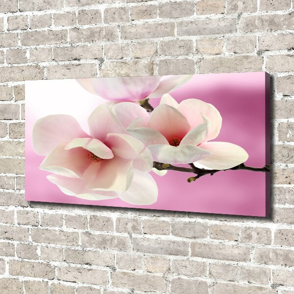 Schilderij op canvas Magnolia