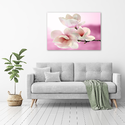Schilderij op canvas Magnolia