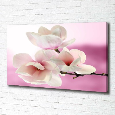 Schilderij op canvas Magnolia